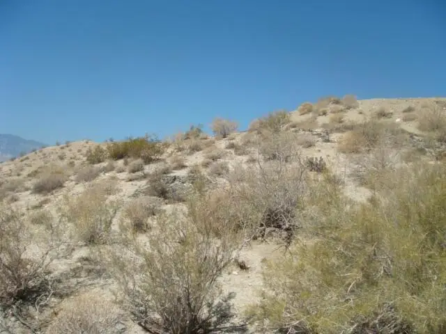 0 Calle De Vecinos, Desert Hot Springs, CA 92240 - Image #2