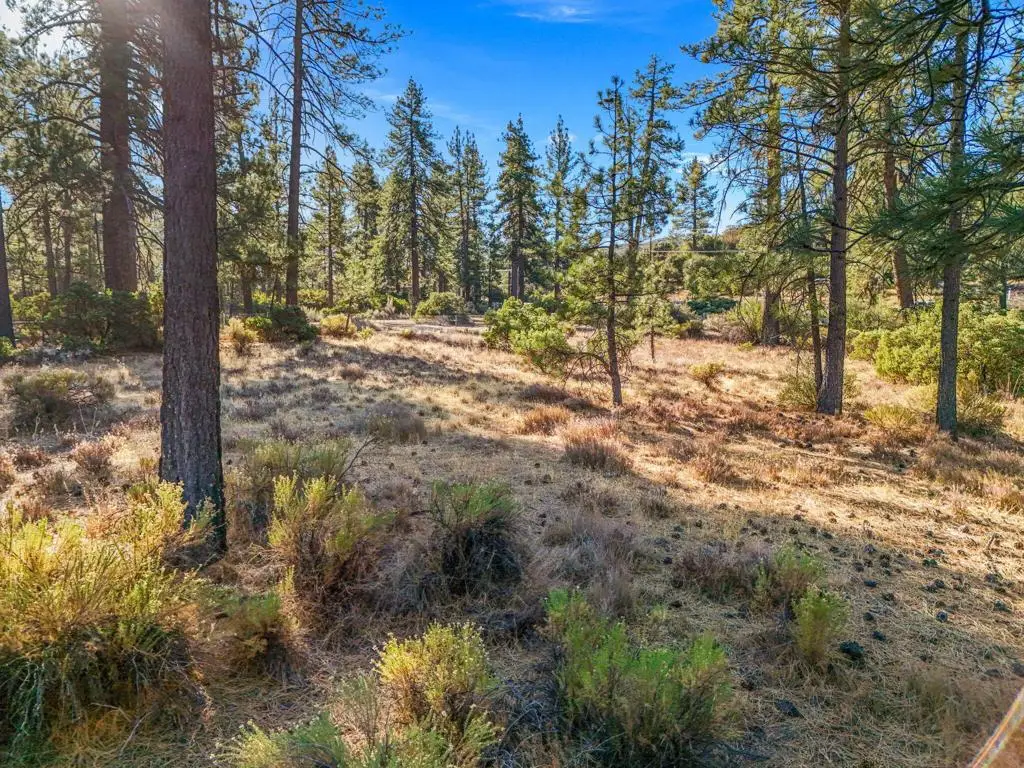 1 Pipe Creek Road, Mountain Center, CA 92561 - Image #1