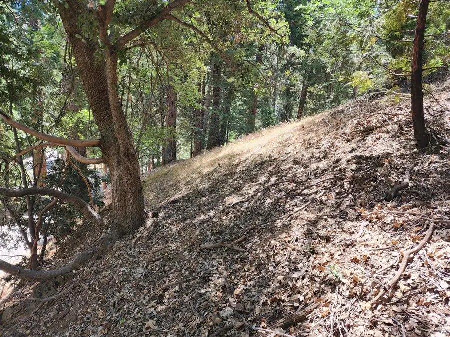 0 Edelweiss Drive, Crestline, CA 92325 - Image #3