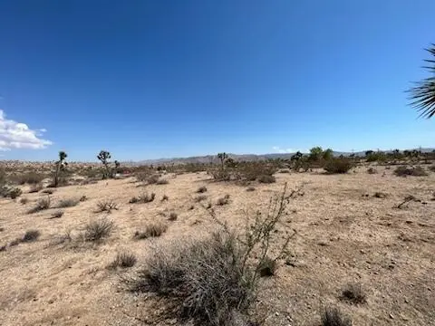 0 Buena Vista Drive, Yucca Valley, CA 92284 - Image #3