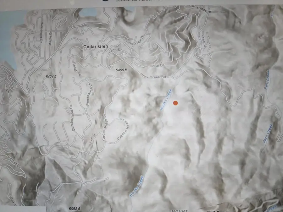 0 Hook Creek Rd, Cedar Glen, CA 92321 - Image #3