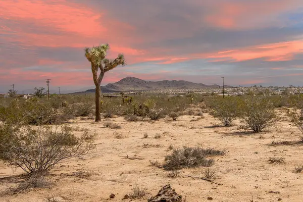 401 Stonehill Avenue, Joshua Tree, CA 92252