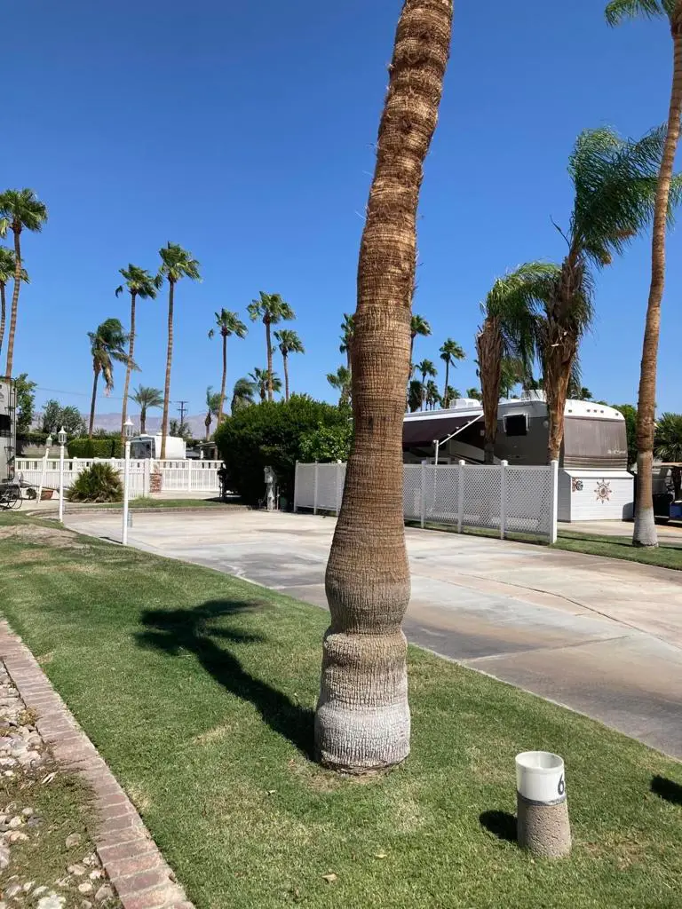 69411 Ramon Road #65, Cathedral City, CA 92234 - #3