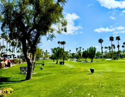 69411 Ramon Road #167, Cathedral City, CA 92234 - #2