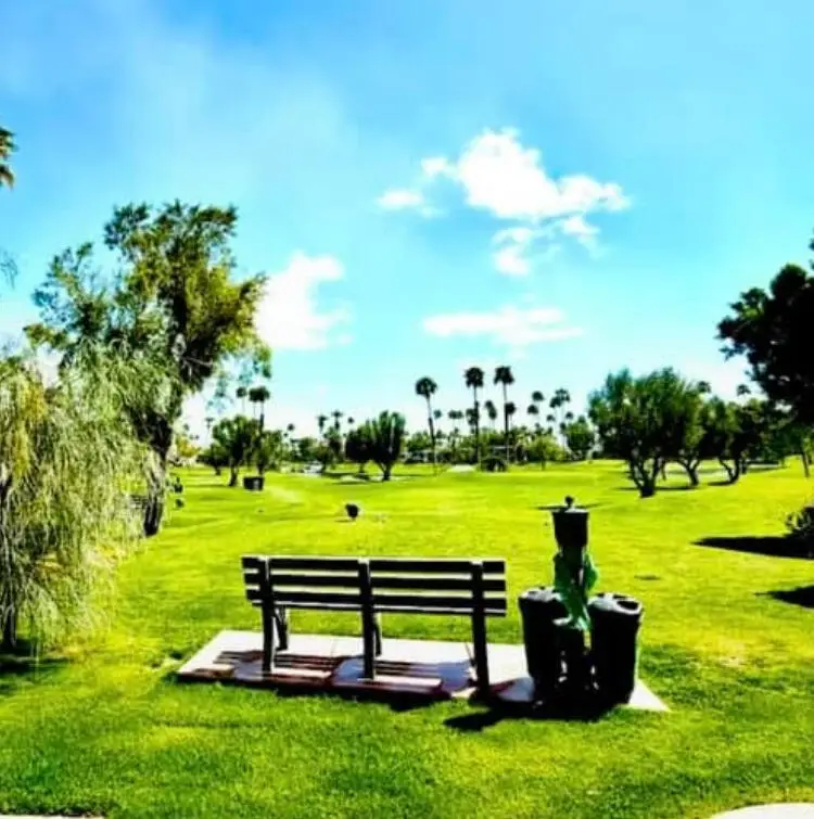 69411 Ramon Road #167, Cathedral City, CA 92234 - #3