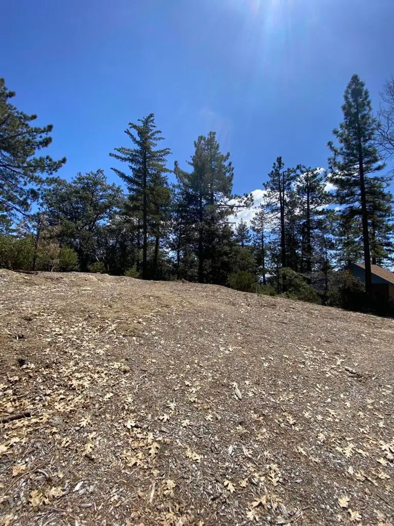 52952 Cedar Crest Drive Drive, Idyllwild, CA 92549 - Image #1
