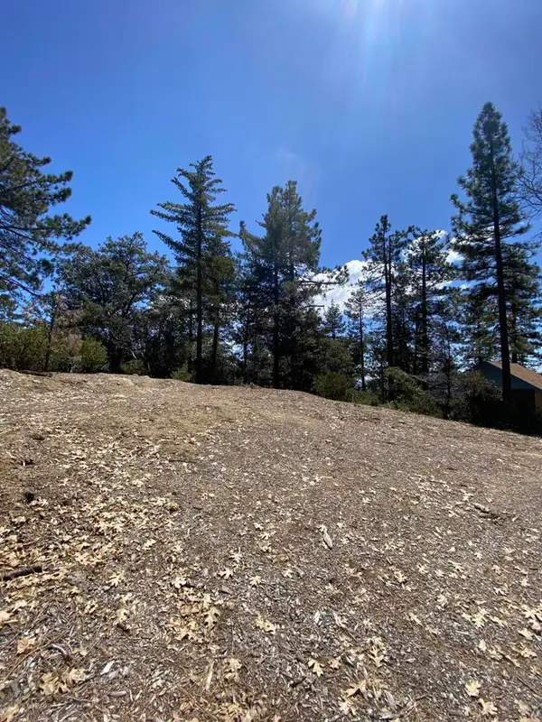 52952 Cedar Crest Drive Drive, Idyllwild, CA 92549