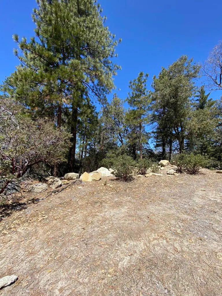52952 Cedar Crest Drive Drive, Idyllwild, CA 92549 - Image #3