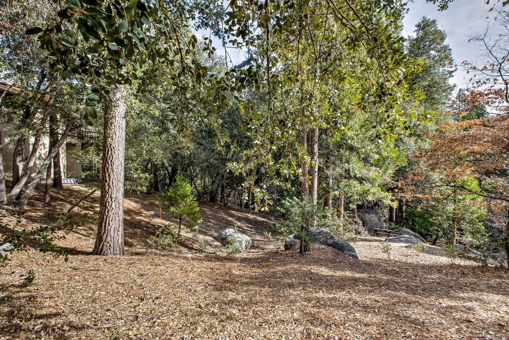 55283 Pine Crest Avenue Avenue, Idyllwild, CA 92549 - Image #1