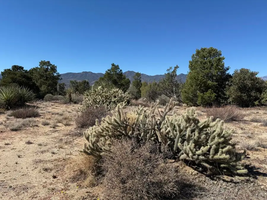 0 Rockwood, Mountain Center, CA 92561 - Image #2