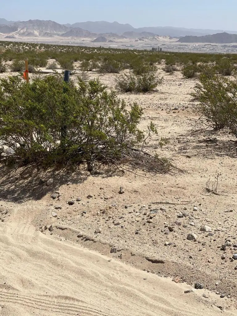 Canyon Road, Twentynine Palms, CA 92277 - Image #3
