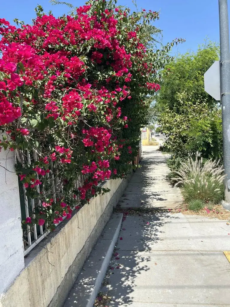 84966 Calle Verde, Coachella, CA 92236 - Image #3