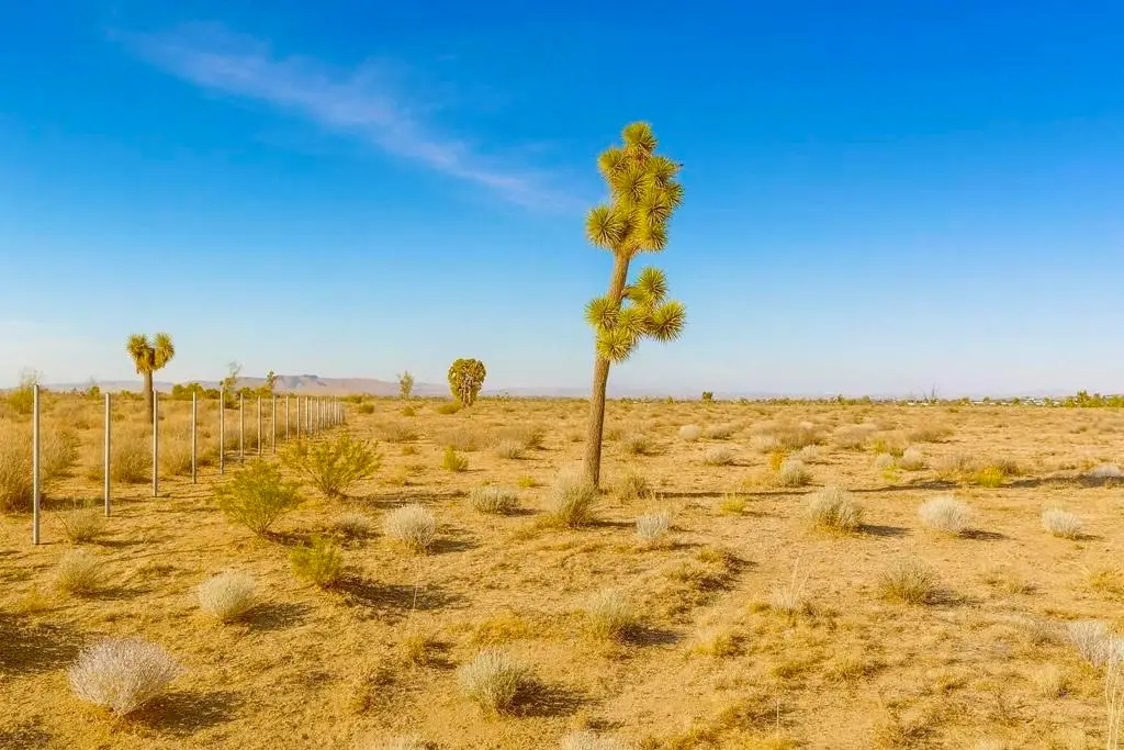 6982 South Street, Phelan, CA 92371 - Image #1