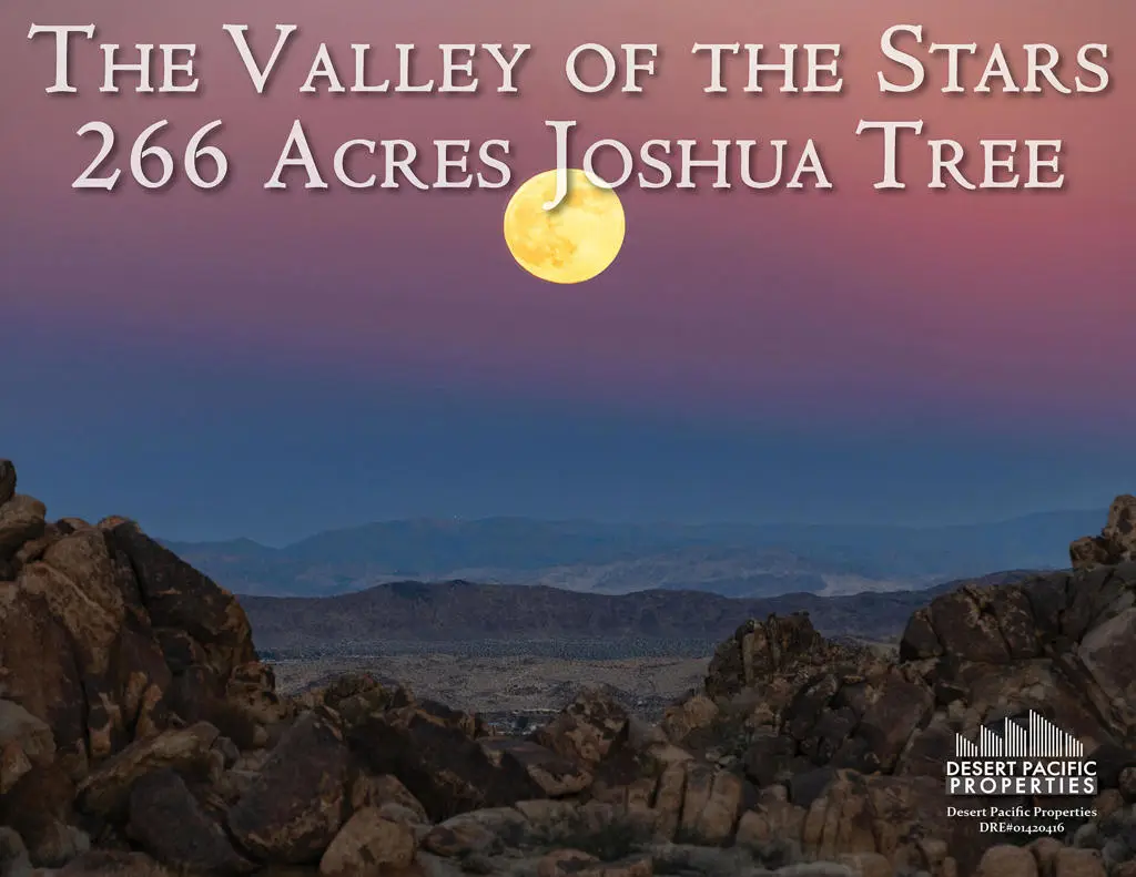 61271 Calle Los Amigos, Joshua Tree, CA 92252 - #1