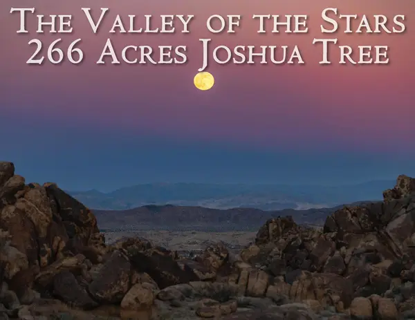 61271 Calle Los Amigos, Joshua Tree, CA 92252