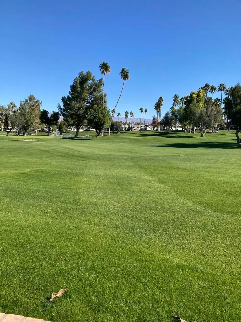 69411 Ramon Road #776, Cathedral City, CA 92234 - Image #3