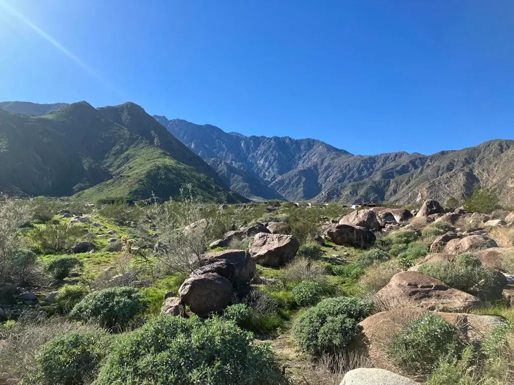 2321 Vista Palizada Drive, Palm Springs, CA 92262 - Image #1