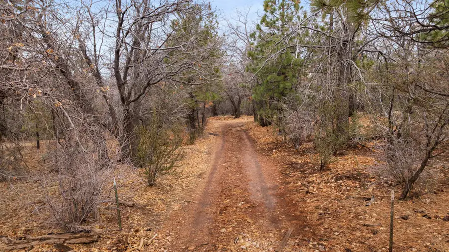 751 Needle Lane, Big Bear City, CA 92314 - Image #2