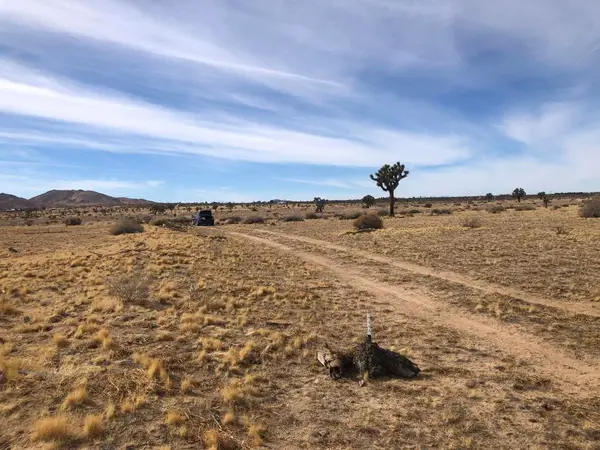 0 218th Street, Lancaster, CA 93536