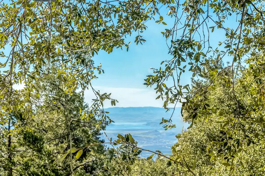 52365 Pine Ridge Road, Idyllwild, CA 92549 - Image #2