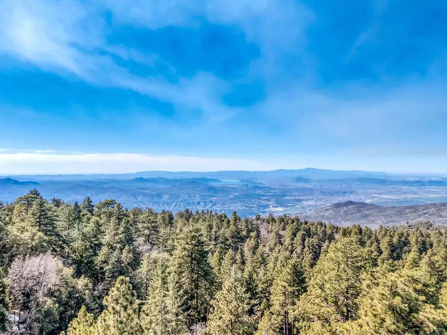 52365 Pine Ridge Road, Idyllwild, CA 92549 - Image #3