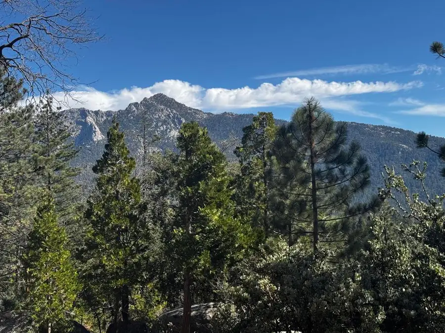 25327 Scenic View Drive, Idyllwild, CA 92549 - Image #3