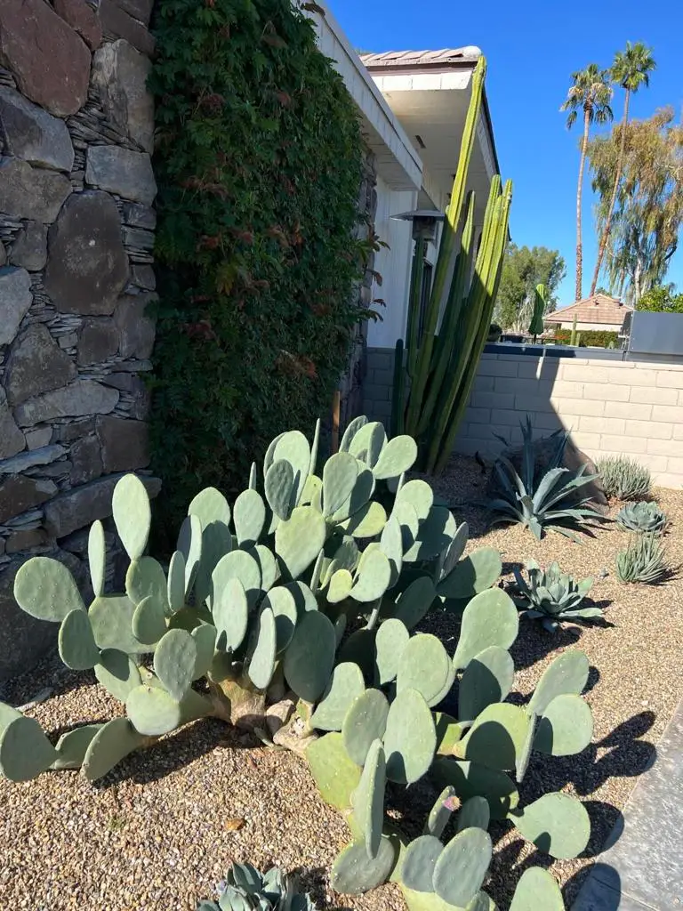 74958 S Chateau Circle, Indian Wells, CA 92210 - #3