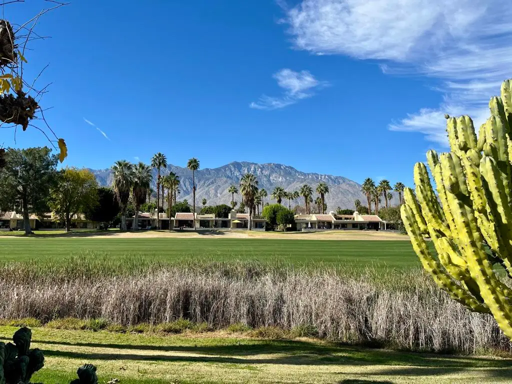 2971 Calle Loreto, Palm Springs, CA 92264 - #1