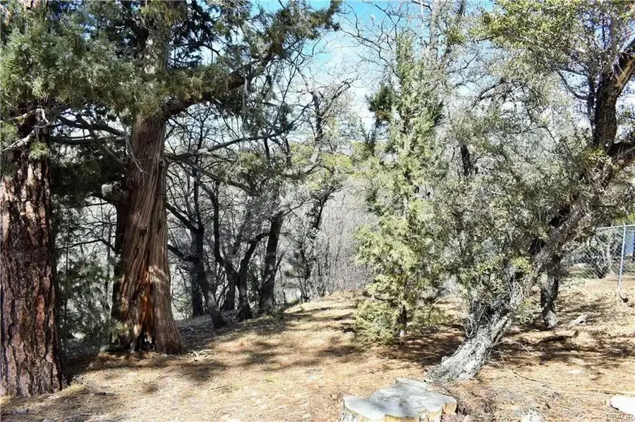 468 Inyo Avenue, Sugarloaf, CA 92386 - #3