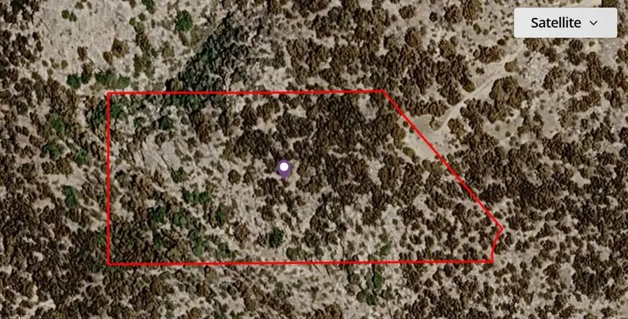 0 Palace Drive, Mountain Center, CA 92561 - #2