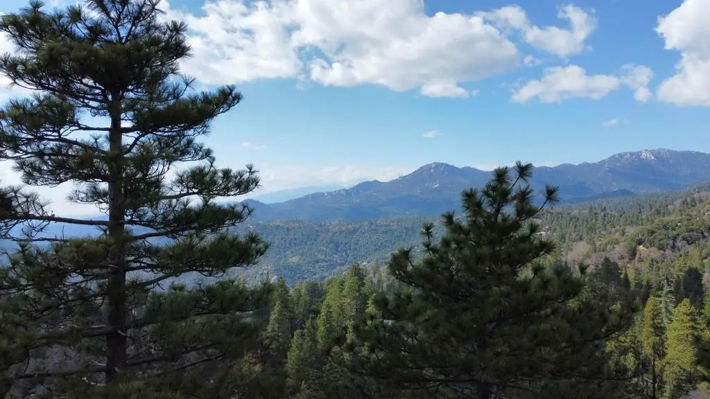 0 Green Craig, Idyllwild, CA 92549 - #1