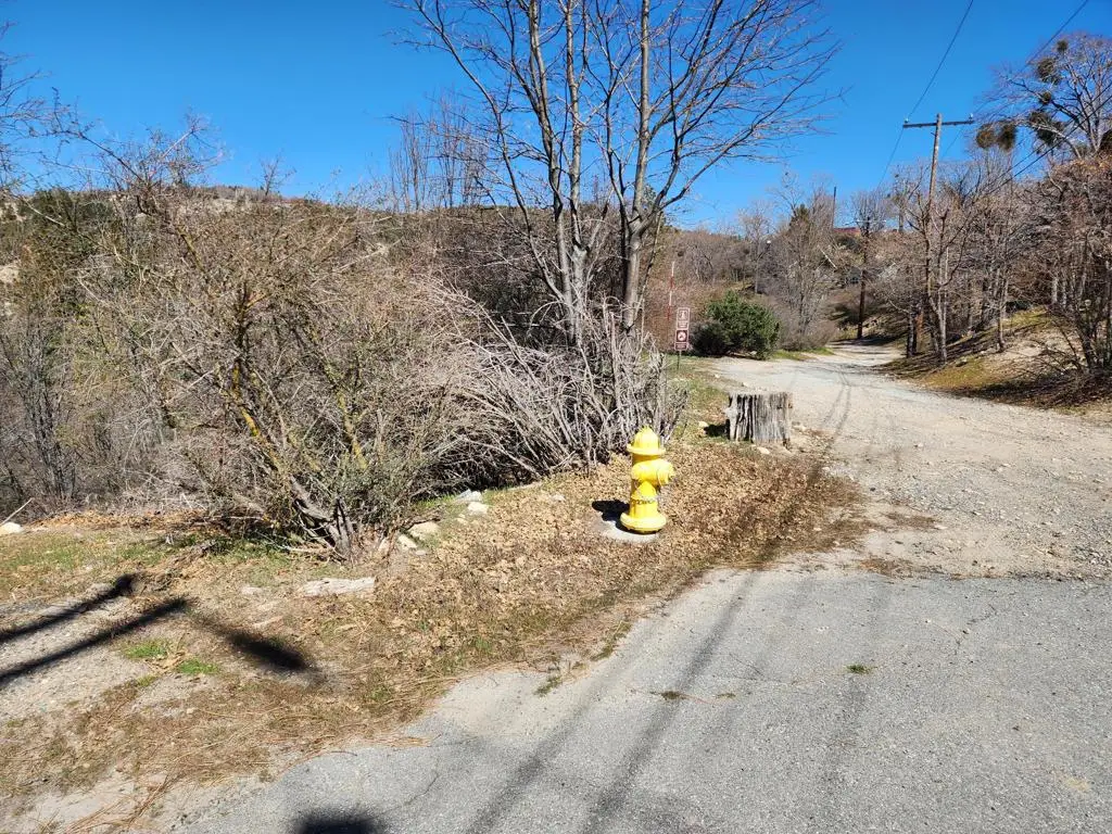 0 Elder Drive, Cedar Glen, CA 92321 - #1