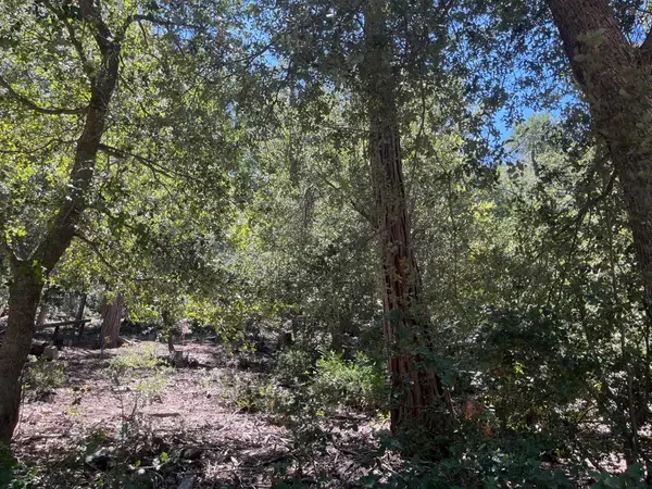 0 Middleridge Drive, Idyllwild, CA 92549