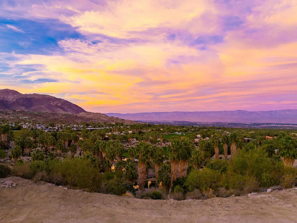 206 Palm Ridge, Palm Desert, CA 92260 - #1