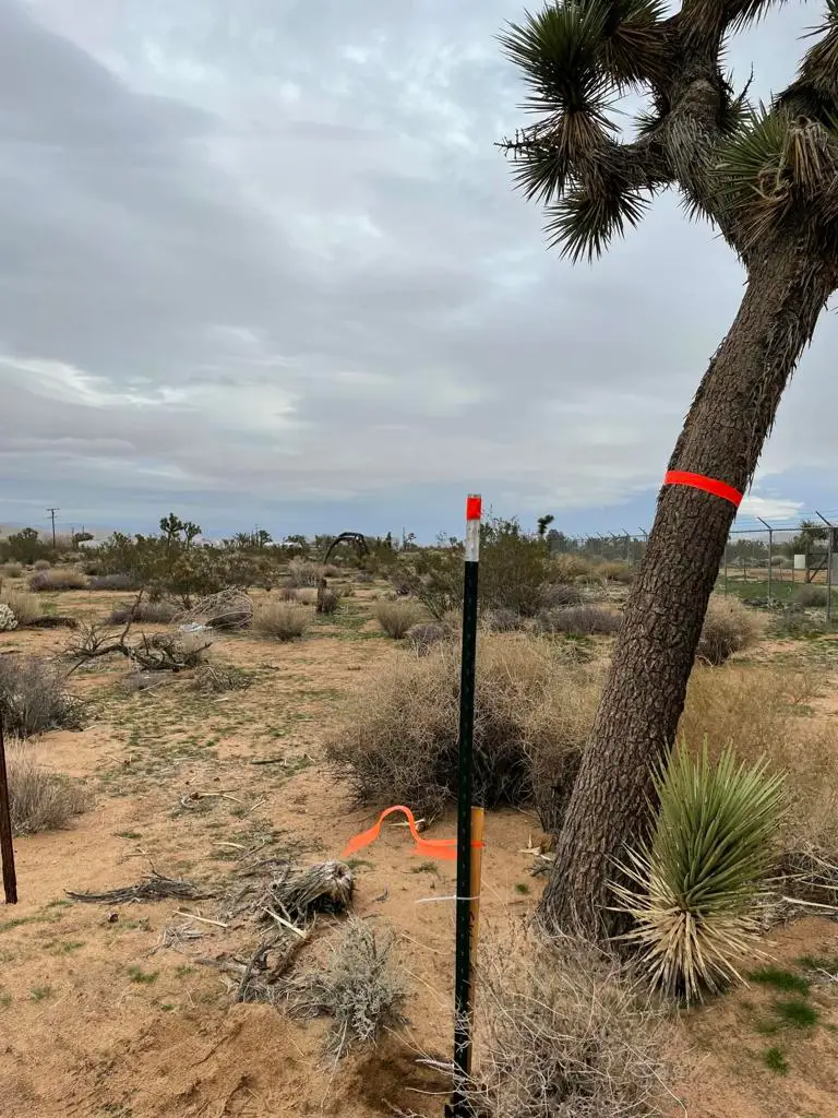 58383 Beaver Tail Lane, Yucca Valley, CA 92284 - #3