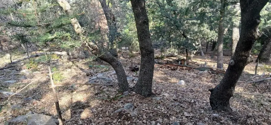 0 Alder Creek Road, Crestline, CA 92325 - #2