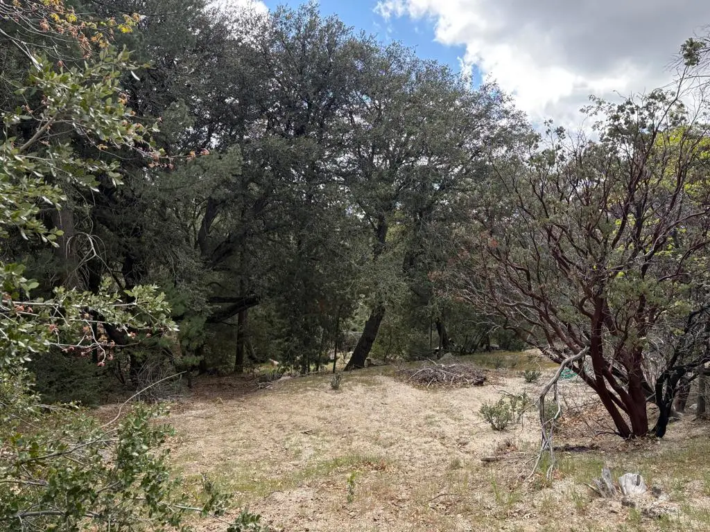 0 Schaffer Drive, Idyllwild Pine Cove, CA 92549 - #1