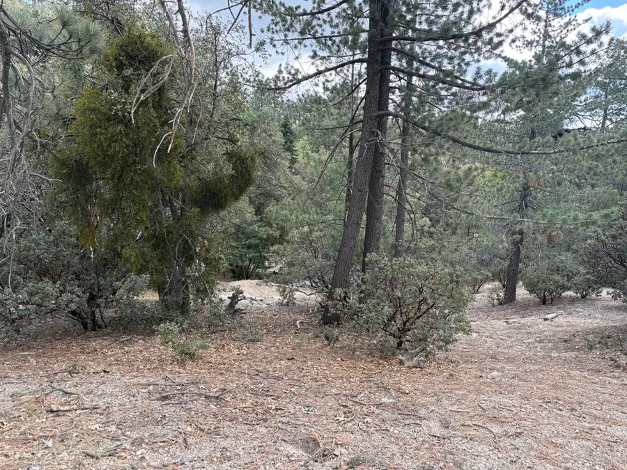 0 Schaffer Drive, Idyllwild Pine Cove, CA 92549 - #3