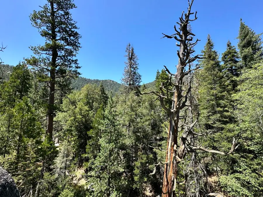 0 Forest Route 4s02, Idyllwild, CA 92549 - #2