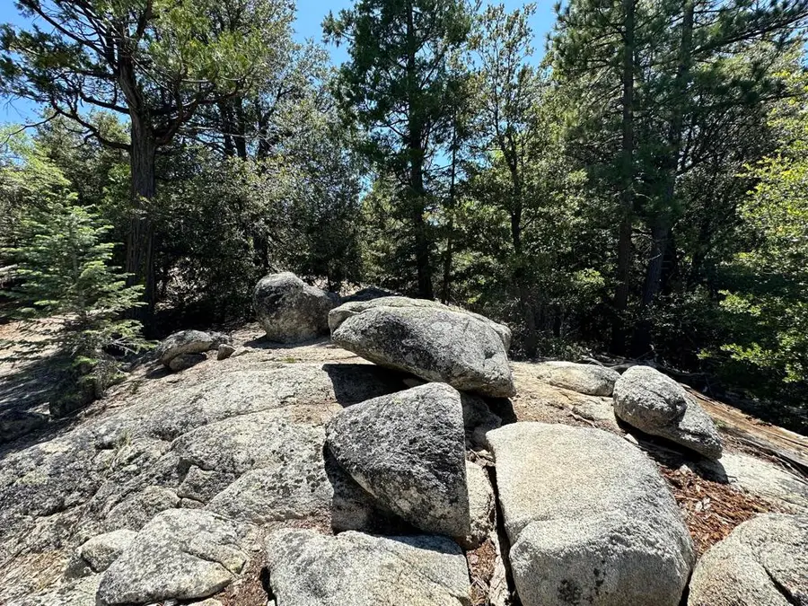 0 Forest Route 4s02, Idyllwild, CA 92549 - #3