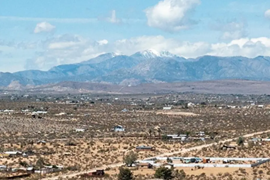 140 Rice Avenue, Joshua Tree, CA 92252 - #3