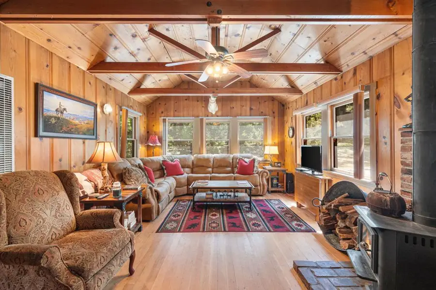 54955 Strong Drive, Idyllwild, CA 92549 - #2