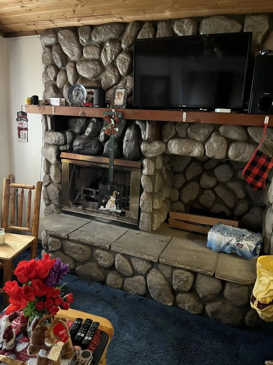 309 W Meadow Lane, Big Bear City, CA 92314 - #3