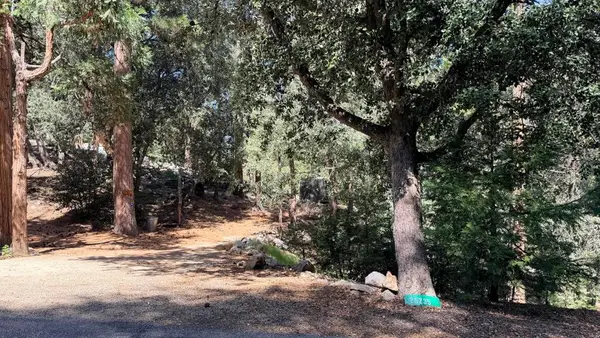 25235 Nestwa Trail, Idyllwild, CA 92549