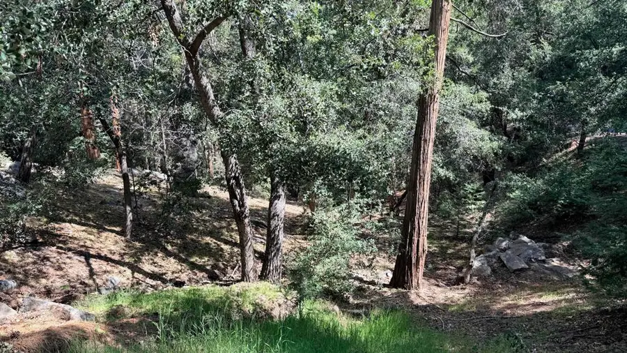 25235 Nestwa Trail, Idyllwild, CA 92549 - #2