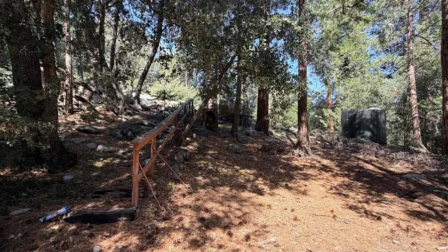 25235 Nestwa Trail, Idyllwild, CA 92549 - #3