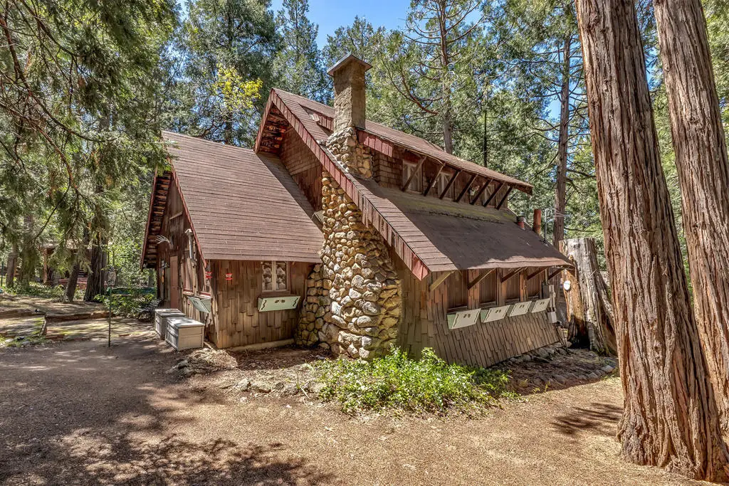 54685 Marian View Drive, Idyllwild, CA 92549 - #1