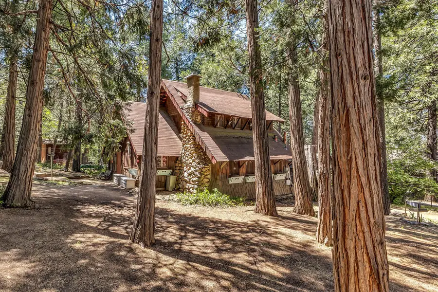 54685 Marian View Drive, Idyllwild, CA 92549 - #3