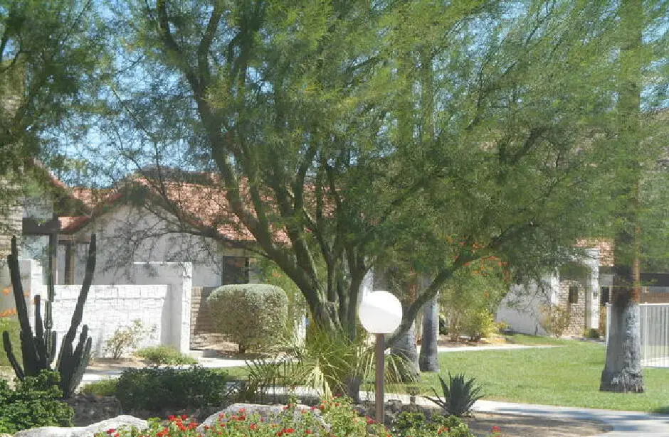 2389 E Miramonte Circle #B, Palm Springs, CA 92264 - #1