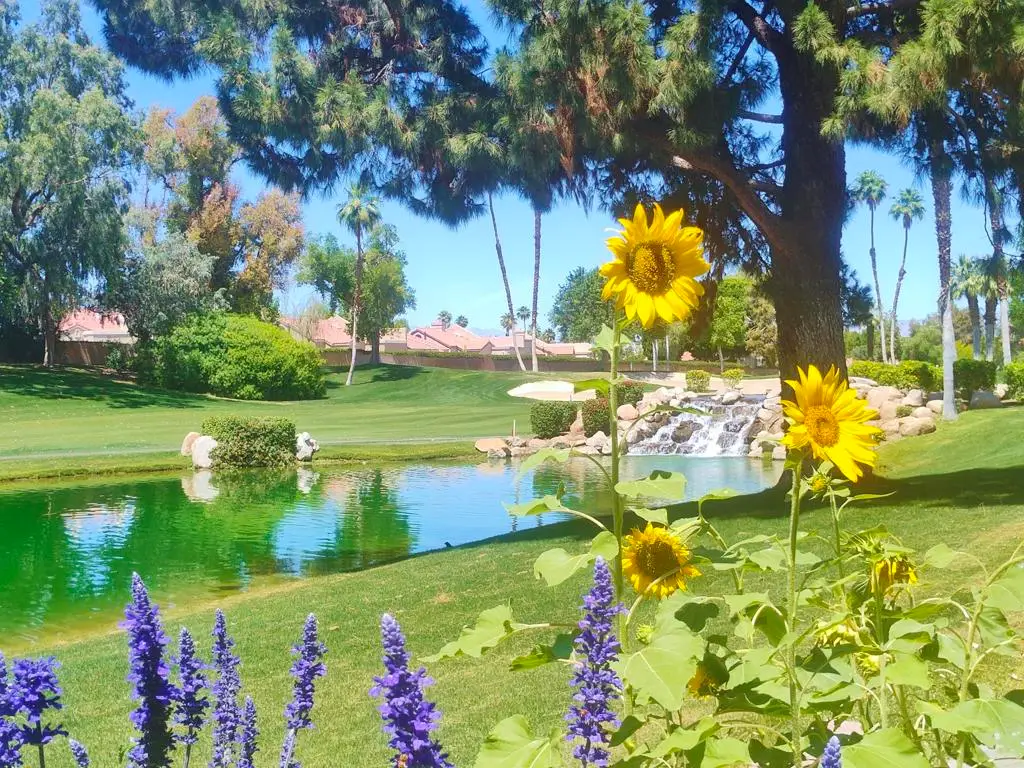 41715 Woodhaven Drive W, Palm Desert, CA 92211 - #1